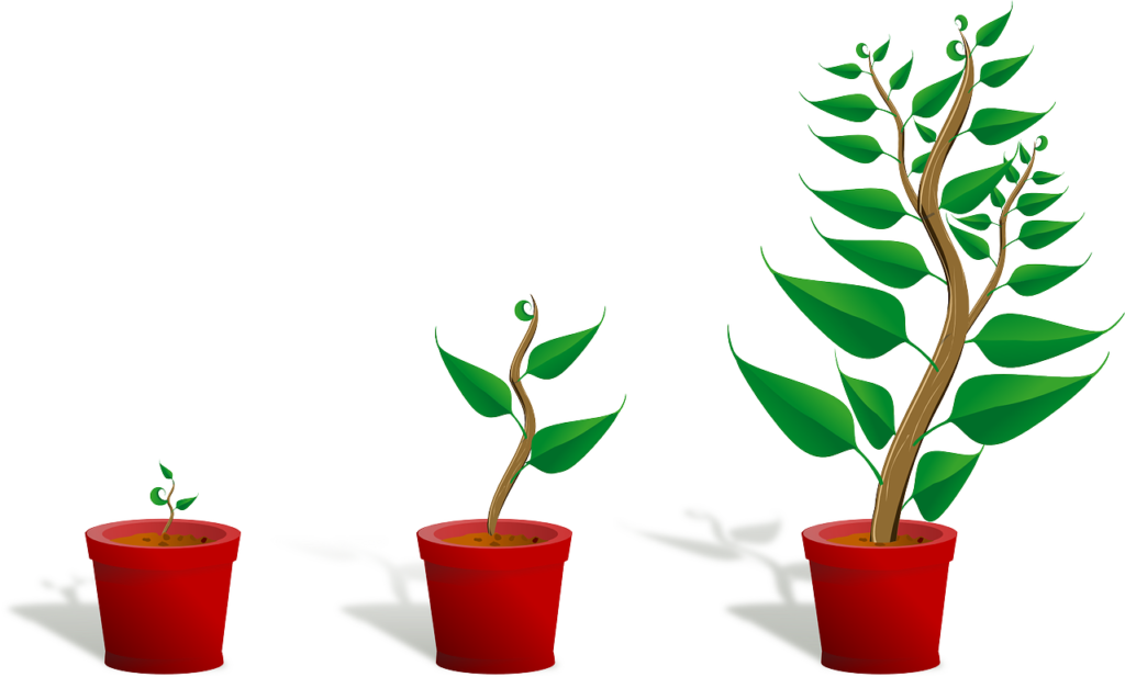 Illustration avec plantes de différente taille symbolisant la croissance
